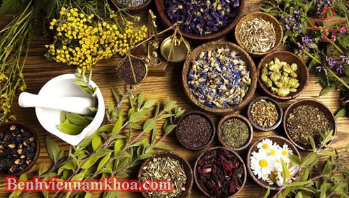 Chữa giãn tĩnh mạch thừng tinh bằng thuốc nam