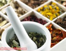 Chữa phì đại tuyến tiền liệt bằng thuốc nam