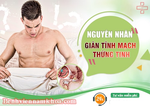 Nguyên nhân giãn tĩnh mạch thừng tinh