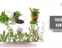 Trị yếu sinh lý bằng thuốc nam