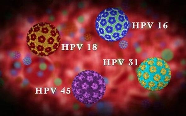 hpv