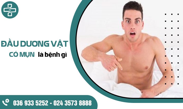 Đầu dương vật có mụn là bệnh gì? Chuyên gia cảnh báo những bệnh lý nam giới cần lưu ý